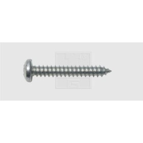 SWG 4009146085090 skrutka do plechu 5.5 mm 19 mm krížová dražka Philips DIN 7981 ocel pozinkované 100 ks; 4009146085090