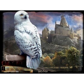 HM Studio 3D Puzzle Harry Potter Hedvika 500 dielikov