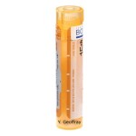 BOIRON Folliculinum gra 1 x 4 g (15CH)
