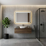 REA - Zrkadlo LED 80x60cm P10407 HOM-02829