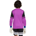 Adidas Squadra 25 Juniorské brankárske tričko s dlhým rukávom JJ1939 176CM