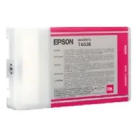 Epson Vivid (C13T603300)