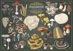 Trefl Puzzle Premium PLUS Finders Keepers: Huby