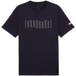 Puma Sport Graphic Tee M 684617 16 pánske tričko S