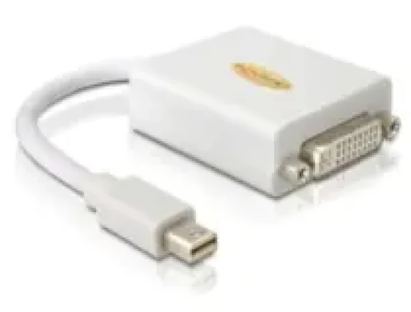 DeLock adaptér DisplayPort mini (samec) na DVI 24+5 (samica), biely (65129)