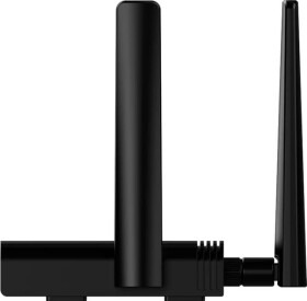 RUIJIE Maršrutizatorius Ruijie RG-EW300T 4G LTE (Wi-Fi 4, 300 Mbps)