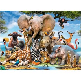 Ravensburger Africkí priatelia