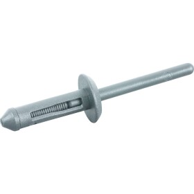 Náhradné nity 10 ks, 15,8 x 5 mm KS Tools 1509655; 1509655