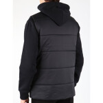 Vesta DC D053840107 S
