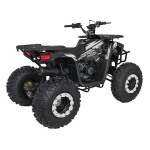Mamido Detská benzínová štvorkolka RamiGO MONSTER 200CC čierno-biela