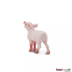 Safari Ltd. Safari Ltd. Sele