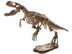 Mamido Súprava na vykopávky 3D T-Rex skelet