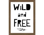 Rámovaný obraz Wild and free, 18x24 cm%