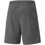 Pánske krátke nohavice TeamRise Short M 704942 13 - Puma XL