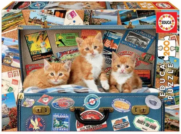 Educa Puzzle Scestované mačiatka