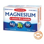 TEREZIA Magnezium + vitamín B6 a medovka 30 kapsúl