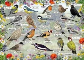 GIBSONS Puzzle RSPB: Šťastní vtáčiky