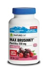 NATUREVIA Max brusnice 250 mg 36 pastiliek