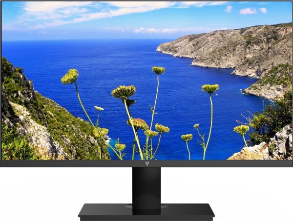 V7 23.8IN IPS MONITOR DISPLAYPORT