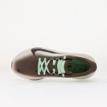 Tenisky Nike Pegasus 42 Ironstone/ Black-Sea Glass-Arctic Green EUR 45