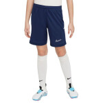 Šortky Nike Dri Fit Academy 25 Jr FZ9784 410 M