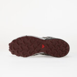 Tenisky Salomon Speedcross 3 GTX Cloudb/ Prlblu/ Blac EUR 37 1/3