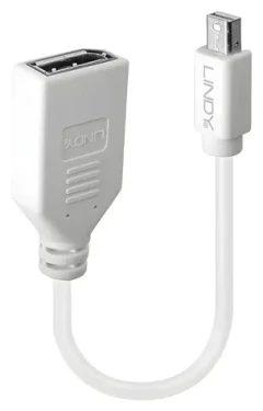 Lindy biela / Adaptér / Mini DisplayPort (M) - DisplayPort (F) / 0,15 m (41021)
