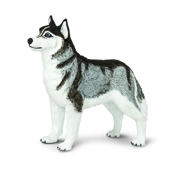 Safari Ltd. Safari Ltd. Figúrka - Sibírsky husky