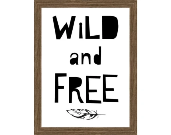 Rámovaný obraz Wild and free, 18x24 cm%