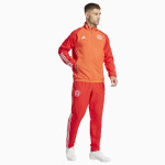 Pánska bunda adidas FC Bayern Pro IN6314