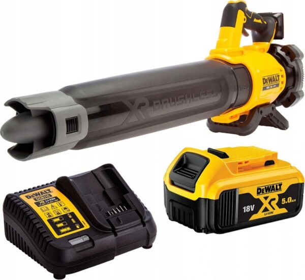 Dewalt DCMBL562P1