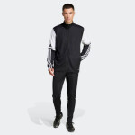 Nohavice adidas Squadra 25 Training M JE2782 3XL