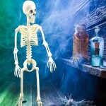 Verk Ľudská kostra skelet 40 cm halloween dekorácie