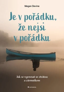 Je v pořádku, že nejsi v pořádku, Devine Megan
