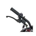 Mamido Detská benzínová motorka RamiGO IMMORTAL 110CC modrá