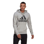 Adidas Essentials Hoodie GK9541 muži