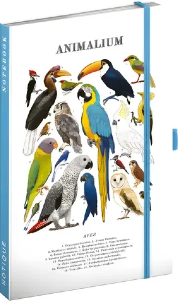 NOTIQUE Notes Animalium - Vtáky / Linkovaný zápisník / A5 / 172 strán