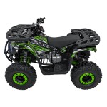 Mamido Detská benzínová štvorkolka RamiGO DISCOVERER 125CC čierno-zelená