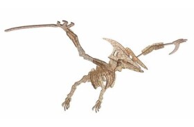 Woodcraft Drevené 3D puzzle Pterosaur