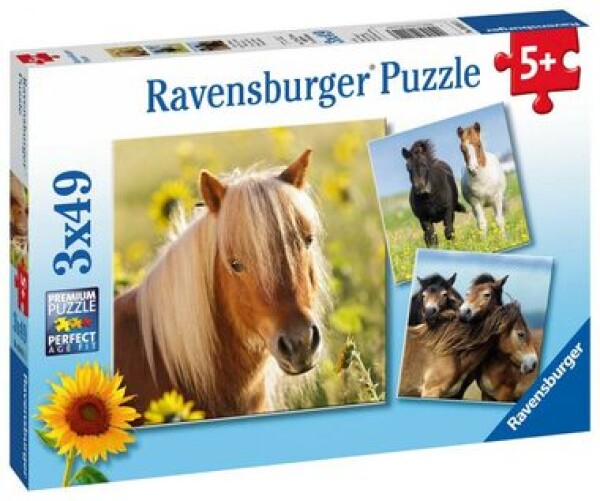 Ravensburger Puzzle Kone dielikov