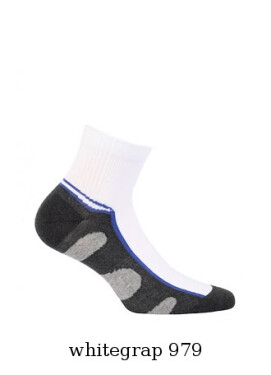 Pánské kotníkové ponožky W model 5791225 Ag+ - Wola Barva: tyrkysová, Velikost: 45-47