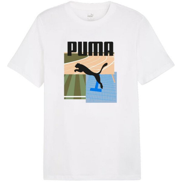 Pánske športové tričko Puma Graphics Summer II 627909 02