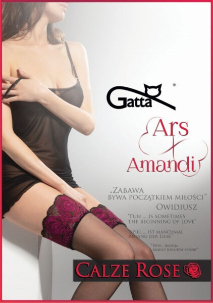 Samodržící dámské punčochy model 16159750 ROSE 20 DEN - Gatta nero-rosso 5-6