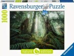 Ravensburger Les