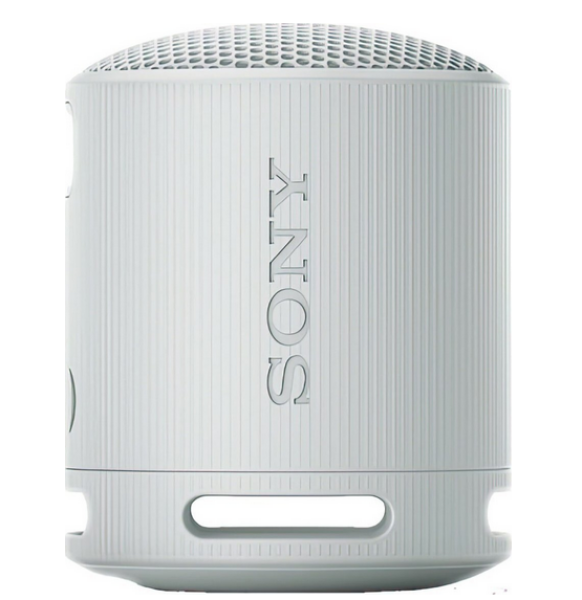 Sony SRS-XB100 sivý (SRSXB100H.CE7)