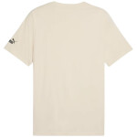 Puma Sport Graphic Tee M 684617 87 pánske tričko S