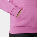 Helly Hansen Core Graphic Hoodie W 54239 089 S