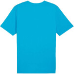 Puma Team Rise Logo Jersey Cotton M 658705 02 Muži M