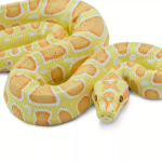 Safari Ltd. Safari Ltd. Figúrka - Barmská pytón - albín