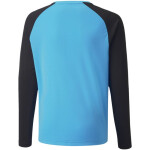 Brankárska mikina Puma teamPacer GK LS Jersey Jr 704939 40